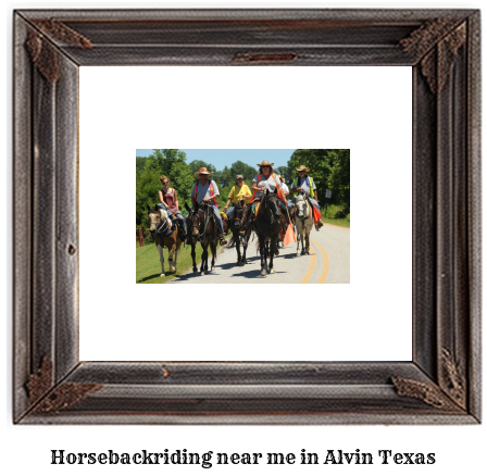 horseback riding near me in Alvin, Texas